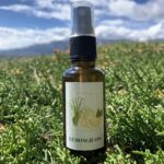 Lemongrass